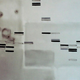 Illustration for article titled DNA Portraits Reveal Your Inner Beauty